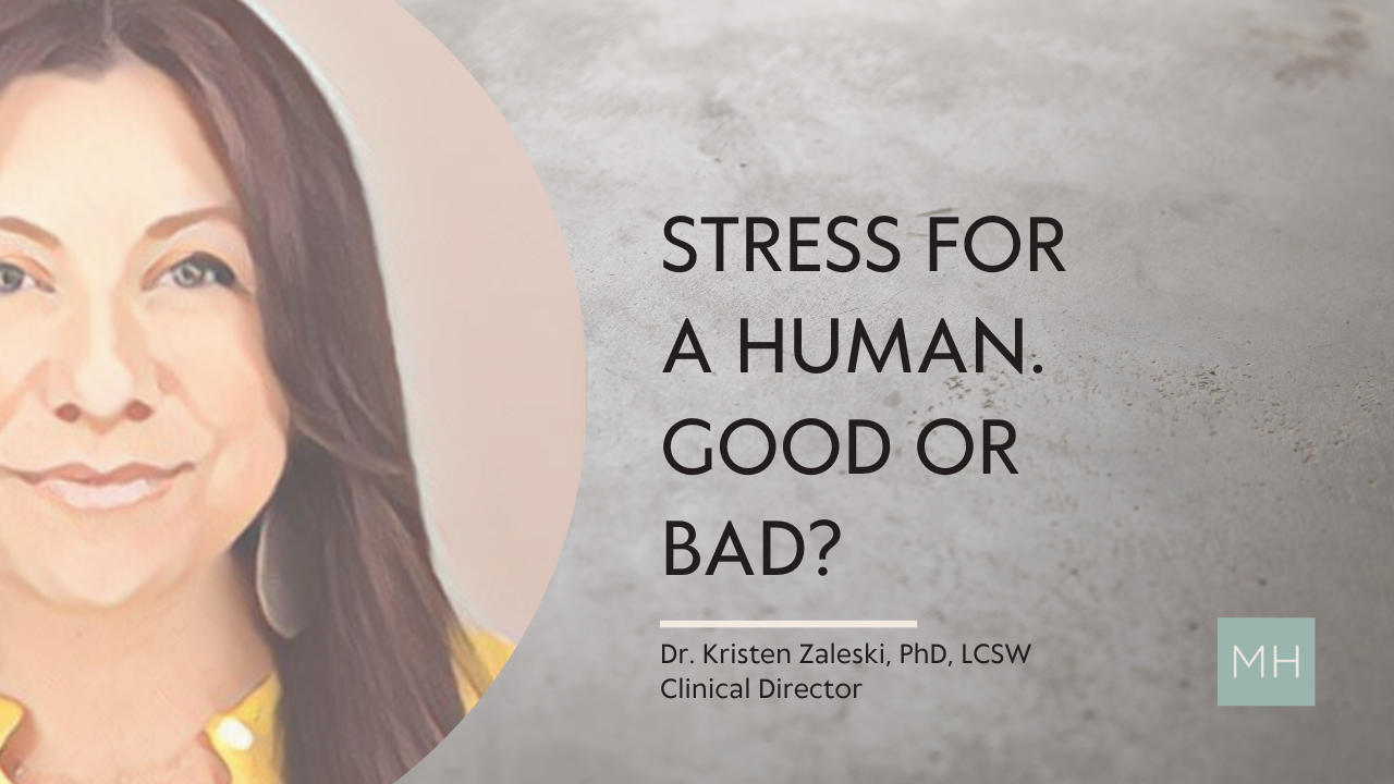 Stress For A Human Good Or Bad Dr Kristen Zaleski